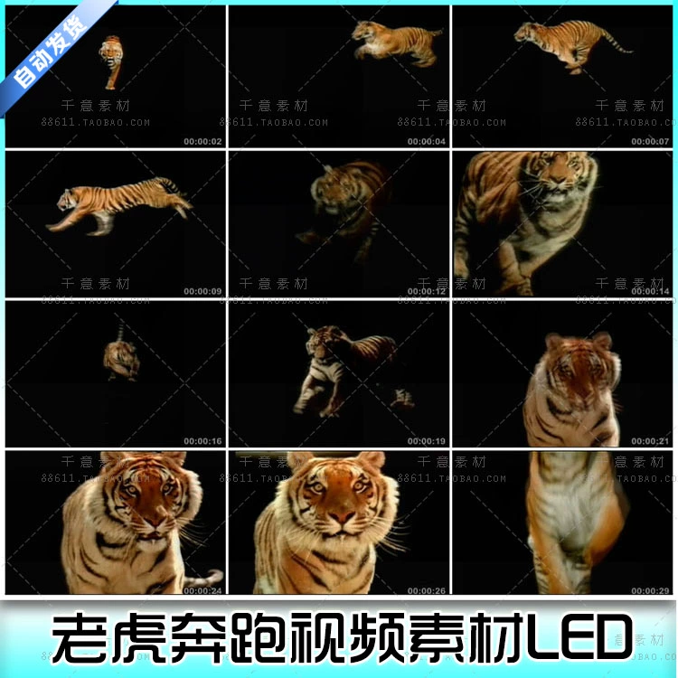 骚虎视频网_骚虎视频网_骚虎视频网
