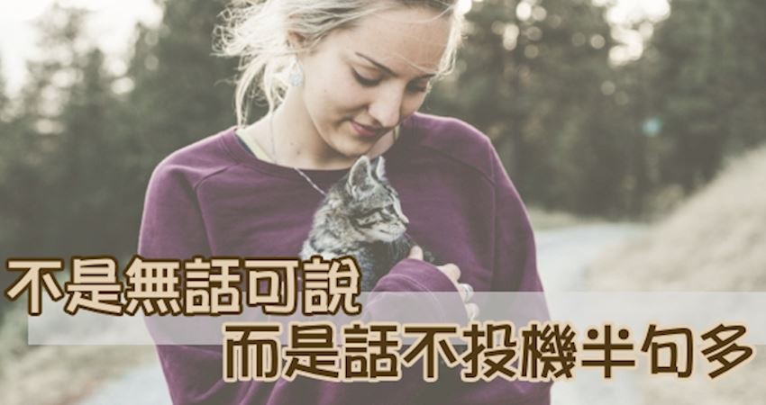 可以说是也可以说不是_可以说下一集_这是可以说的吗下一句