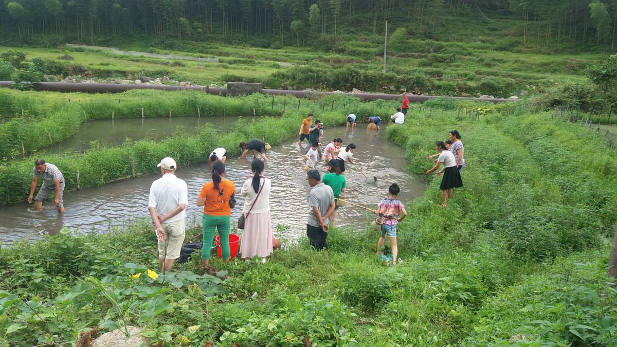 捉鱼游戏什么意思_捉鱼游戏_猫咪捉鱼游戏