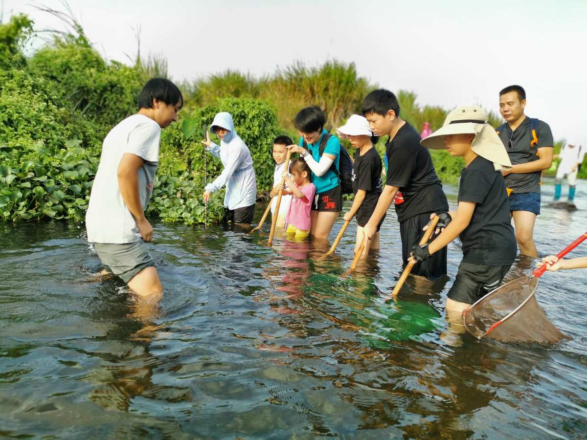 捉鱼游戏什么意思_捉鱼游戏_猫咪捉鱼游戏