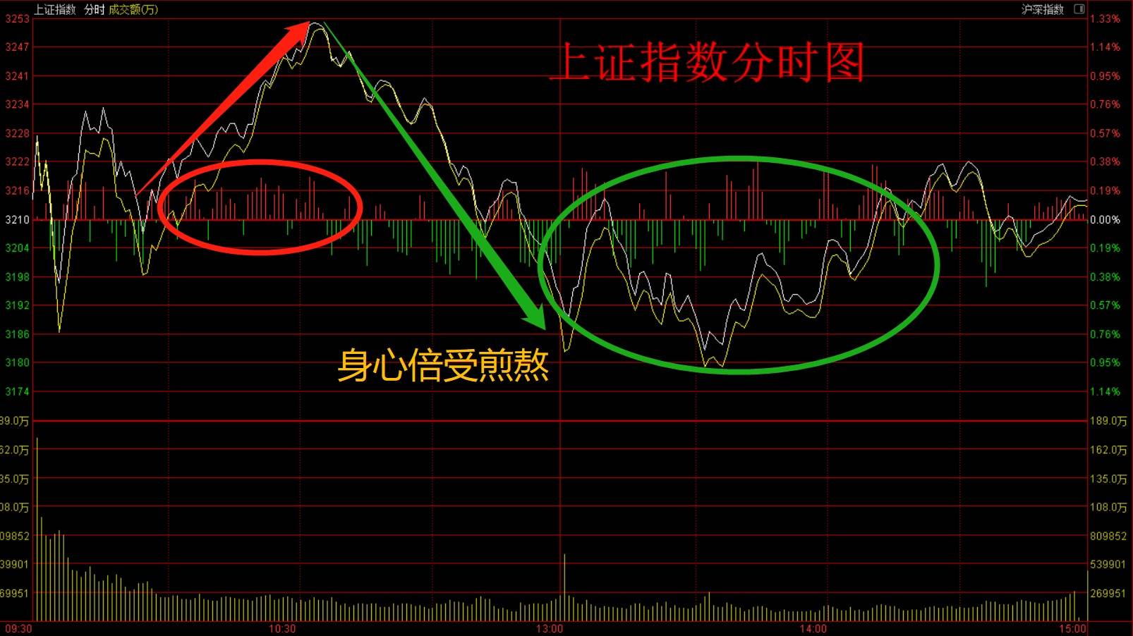 暴富人生_我的暴富人生_重生之暴富人生