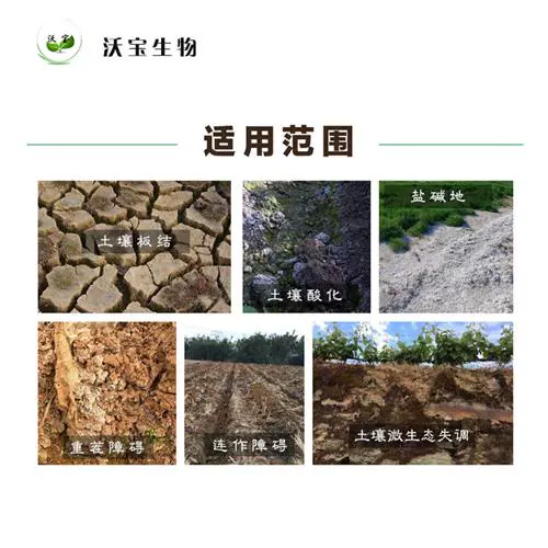 吉利熊猫蠕行_蠕行是什么意思_蠕行