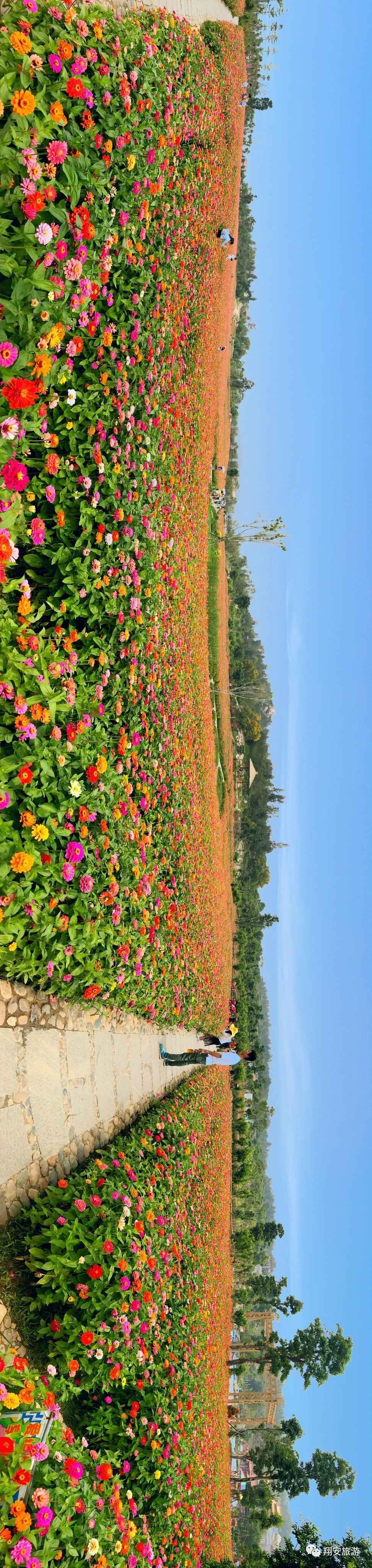 伊伊_田园伊始_伊田园