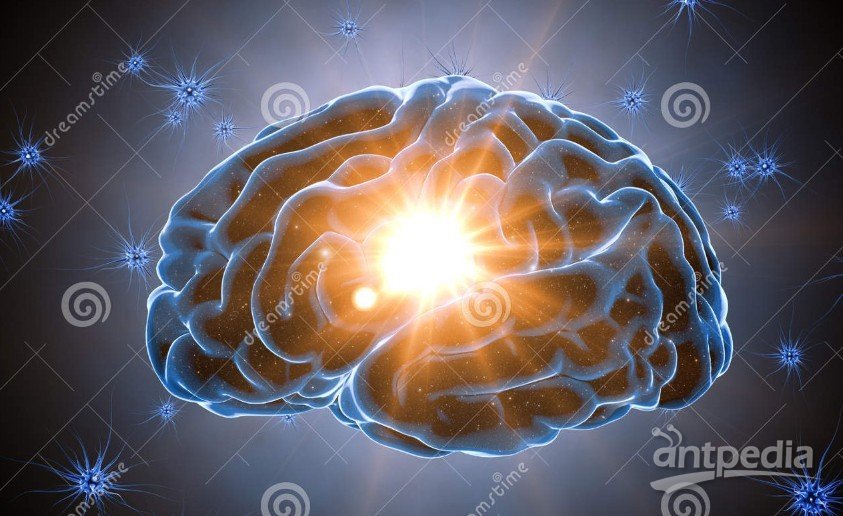 脑年龄测试小游戏_脑年龄测试_脑年龄测试图片