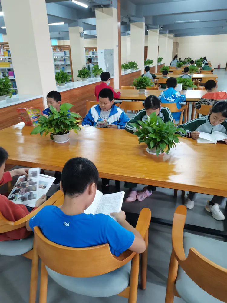 数码大师免费手机版下载_好用的免费追剧的app_免费追书大师app下载旧版