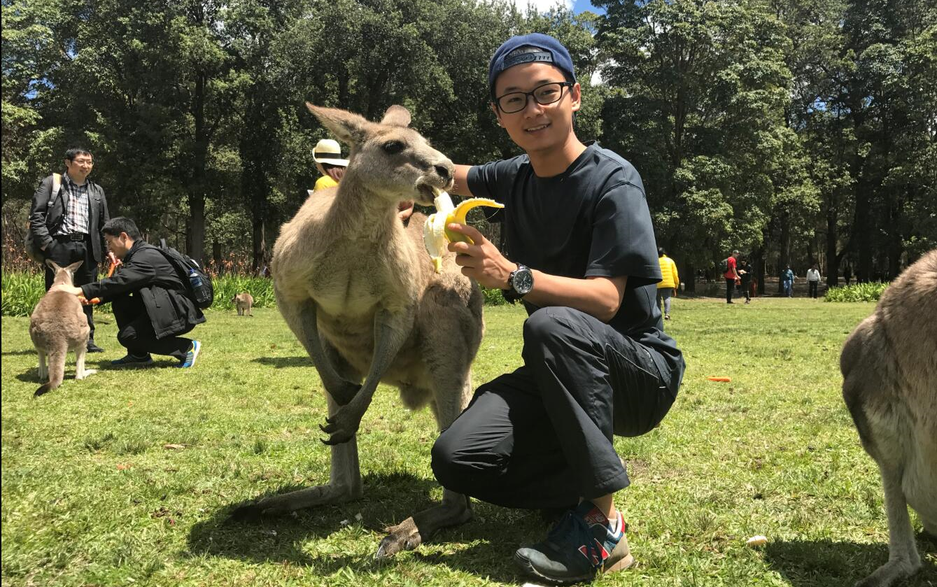 袋鼠影视知乎_袋鼠影视TV版下载_袋鼠影视