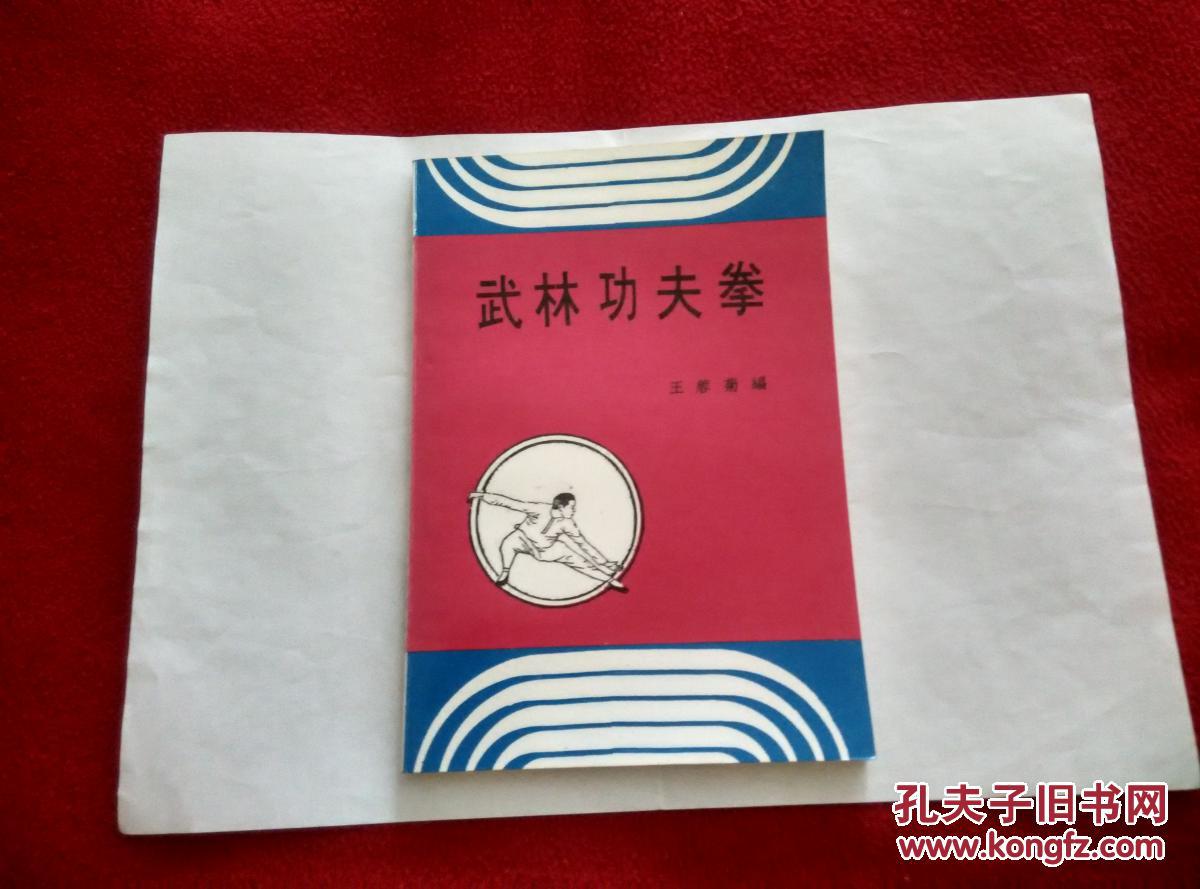 功夫王tv_功夫之王中文版_电影功夫王