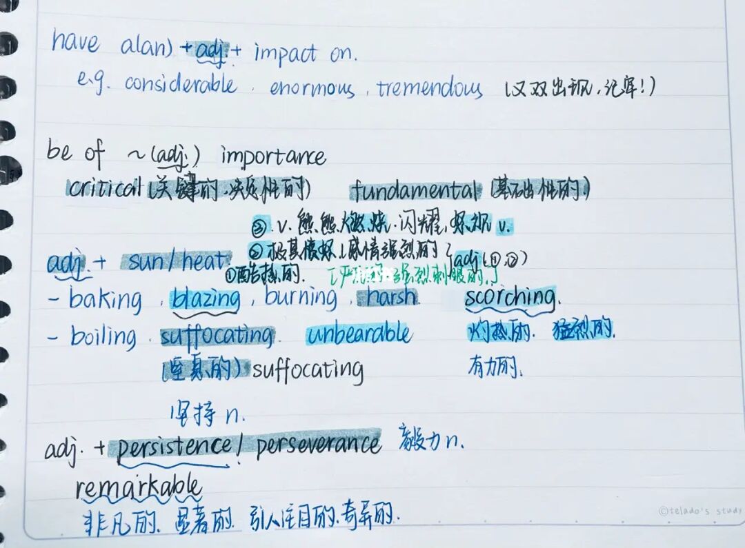 影流之主是什么梗_影流之主是什么梗_影流之主是什么梗