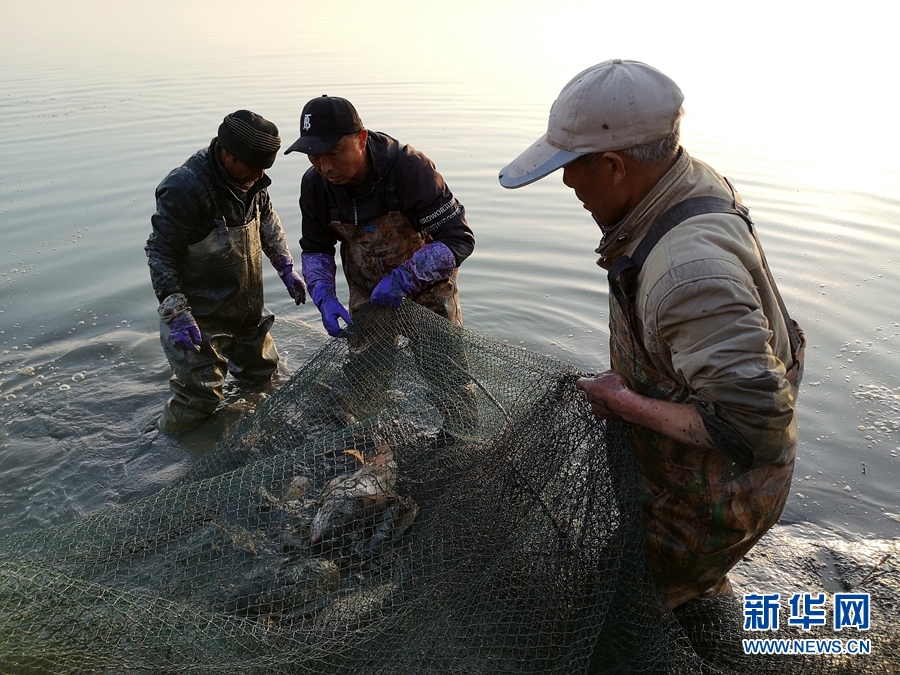 鱼腹浦_鱼腹浦_鱼腹浦