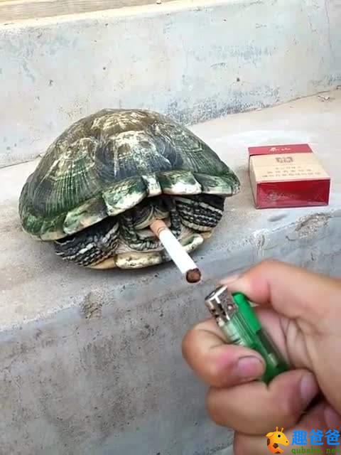 搞笑游戏大全手机游戏_游戏搞笑大全手机版_游戏搞笑大全手机游戏