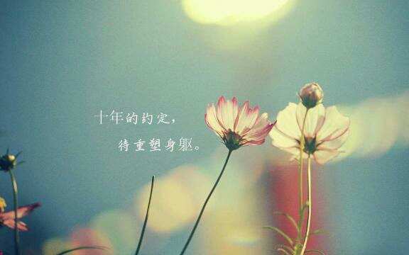 是年20岁_是年是指哪一年_2009是什么年
