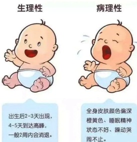 新生儿配图说说_新生儿照片晒朋友圈怎么说_低调新生儿玩手机游戏图片