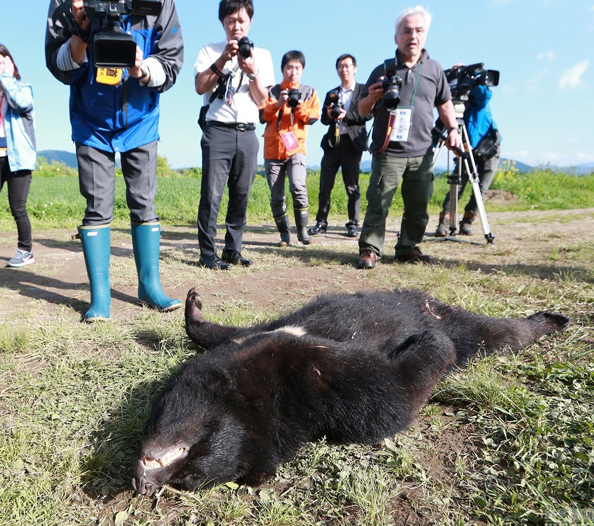 野兽先辈采访_野兽先辈采访原视频完整版_野兽先辈采访原版