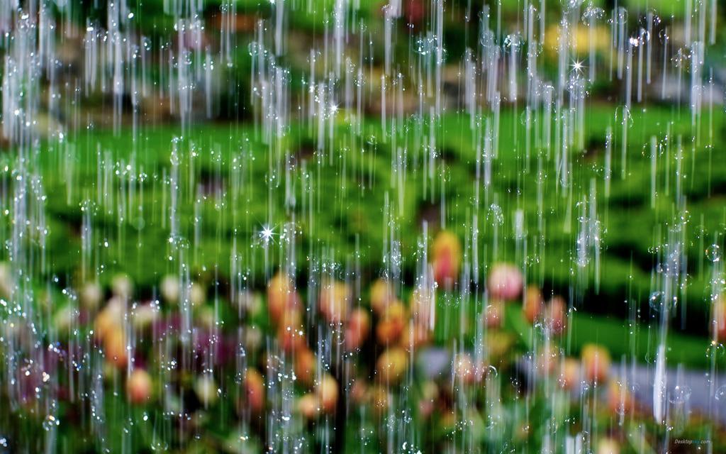 瓜女无雨什么意思_雨女无瓜_雨女无瓜怎么接下一句