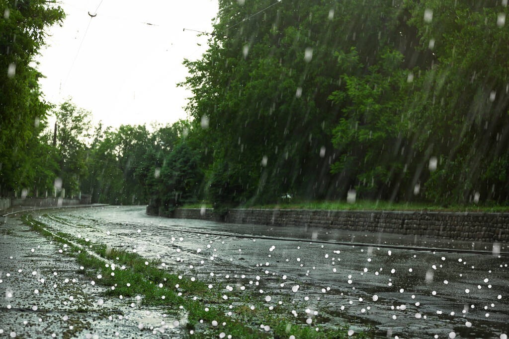 雨女无瓜_瓜女无雨什么意思_雨女无瓜怎么接下一句