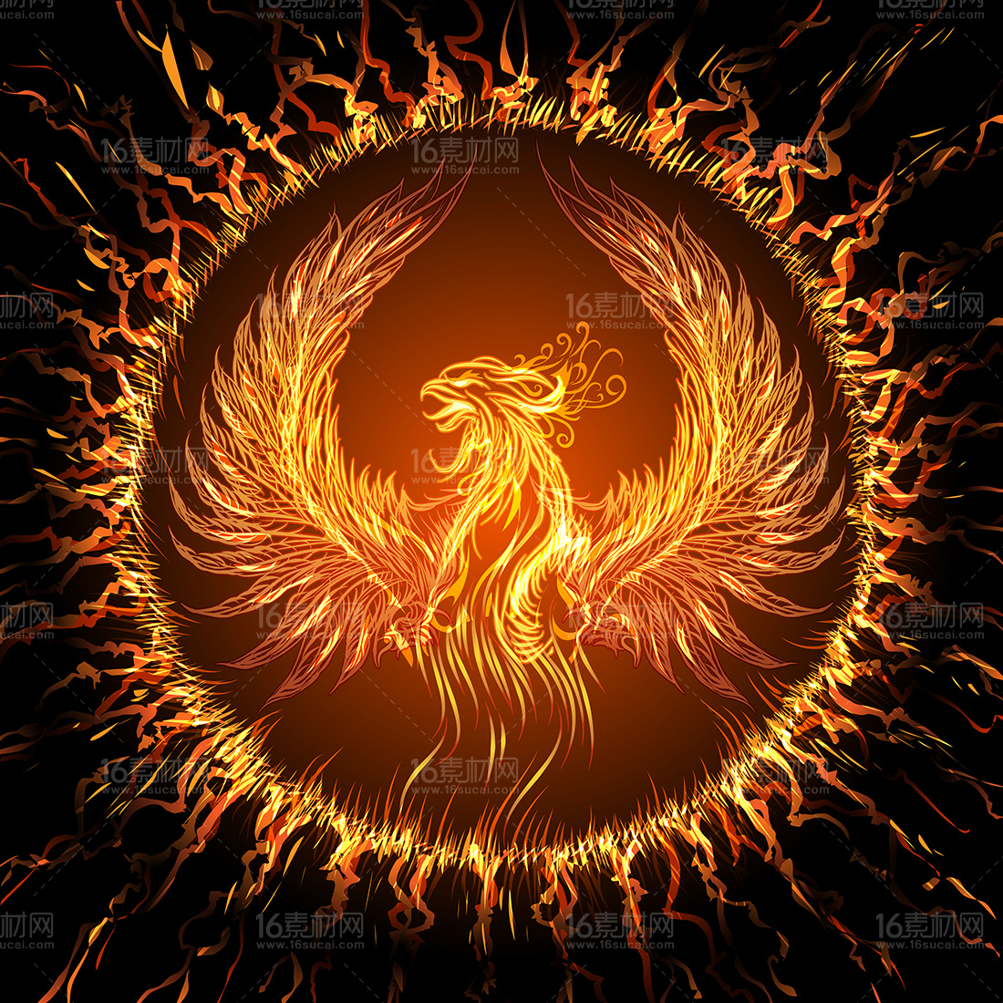 凤凰火阴阳师哪里多_火凤凰阴阳师_凤凰火阴阳师好吗