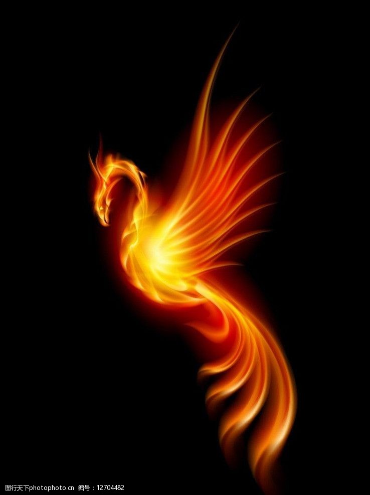 凤凰火阴阳师好吗_凤凰火阴阳师哪里多_火凤凰阴阳师