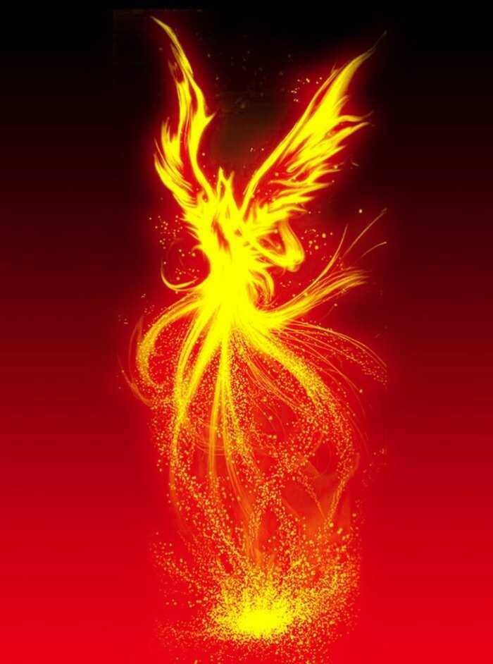 凤凰火阴阳师好吗_凤凰火阴阳师哪里多_火凤凰阴阳师