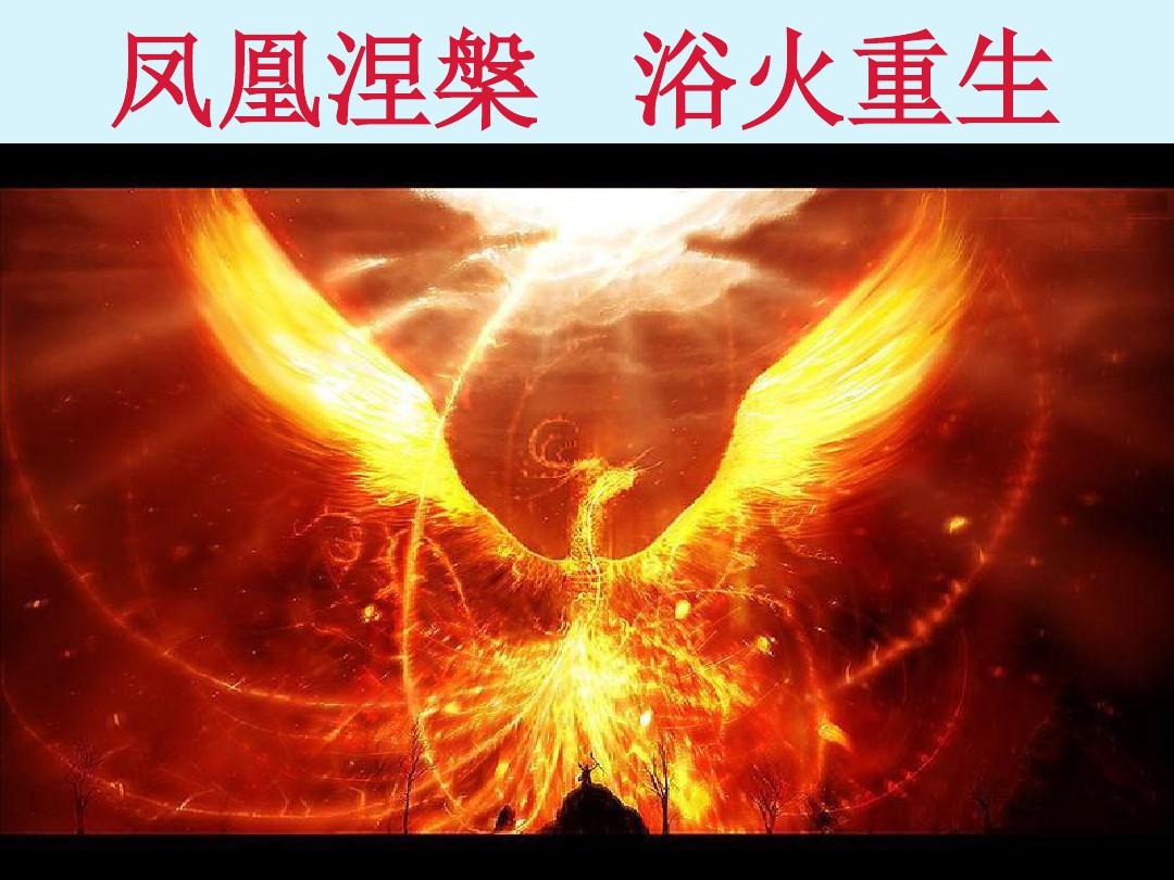 凤凰火阴阳师哪里多_火凤凰阴阳师_凤凰火阴阳师好吗