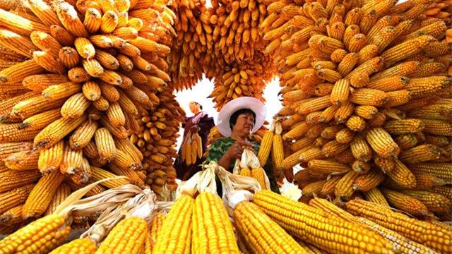 传统名族节日_传统节日民族风俗_少数民族传统节日