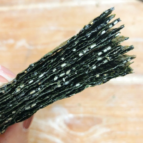 海苔男_海苔男百度百科_海苔男结婚