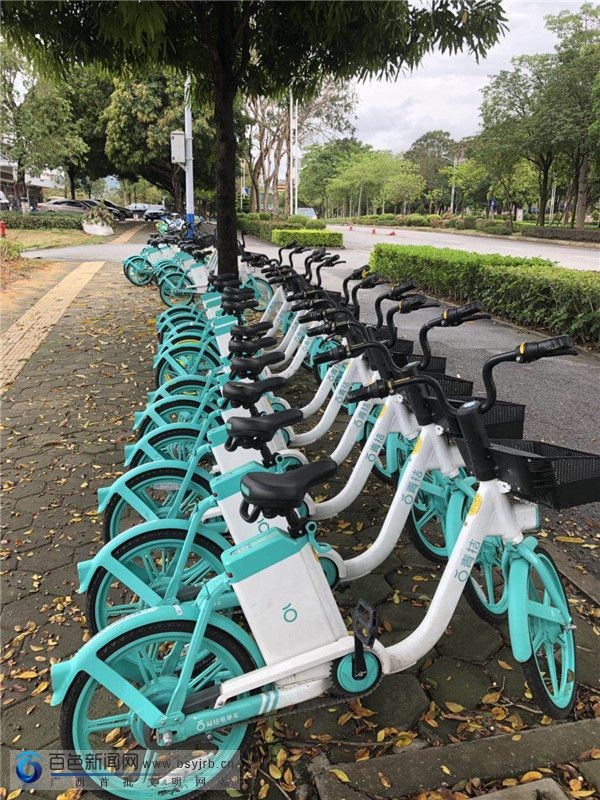 下载共享单车青桔单车_青桔共享单车app下载_免费下载共享单车青桔