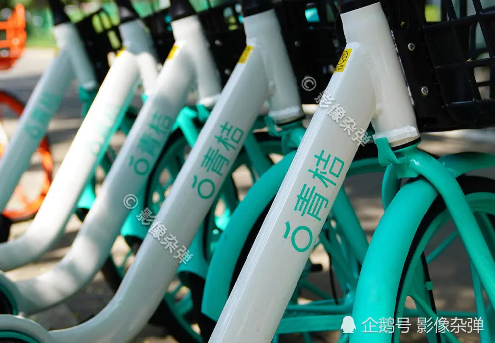 免费下载共享单车青桔_青桔共享单车app下载_下载共享单车青桔单车