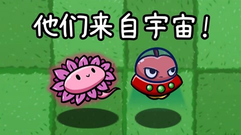 如何评价小宝趣玩_我想看小宝趣玩_小宝趣玩哔哩哔哩