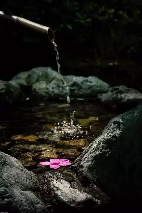 七皇之剑_七皇之剑_七皇之剑