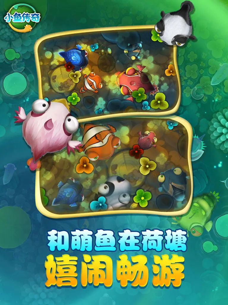 吃鱼变龙的手机游戏叫什么_鱼变龙的游戏_鱼变龙叫什么神兽