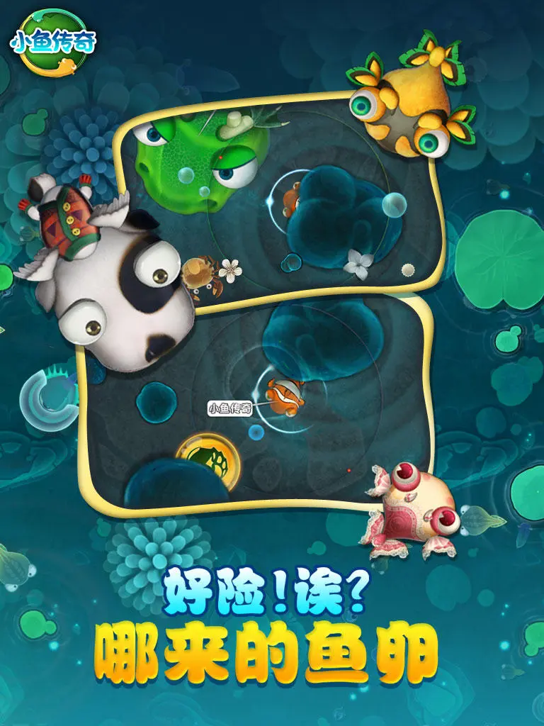 鱼变龙叫什么神兽_鱼变龙的游戏_吃鱼变龙的手机游戏叫什么
