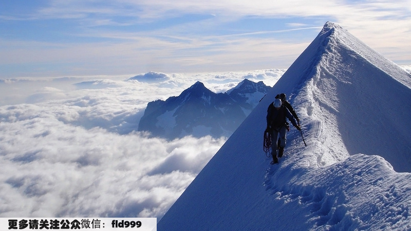 高山魏牌是哪个厂家的_高山魏牌价格太贵了_魏牌高山