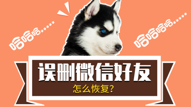 好友微信恢复方法_好友微信恢复器免费_微信怎么恢复好友