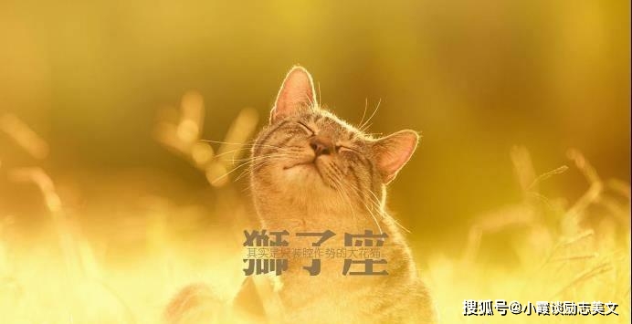 书拉密女小站培灵书房_书拉密女是什么意思_拉密