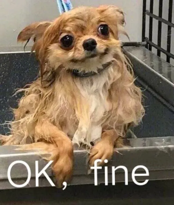 比较烧脑的手机游戏_烧脑的手机小游戏_烧脑手机游戏推荐