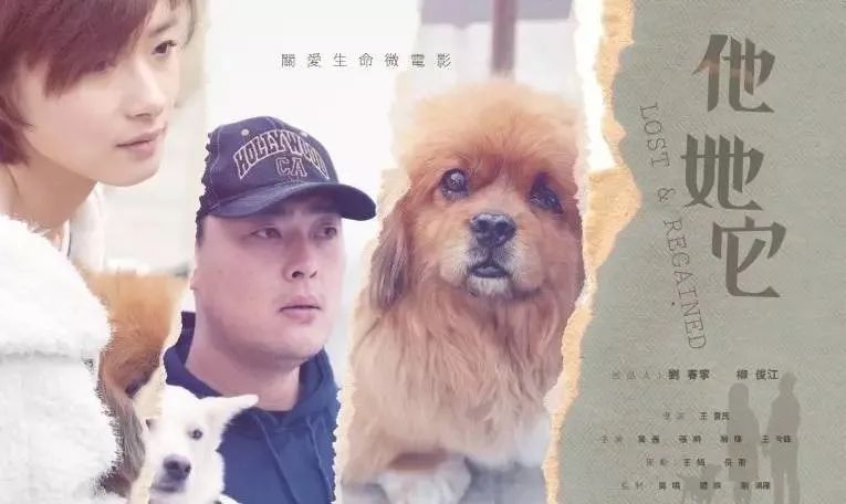 使命在线全集_使命免费完整版21_一条狗的使命在线观看完整版免费