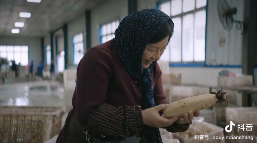 白音花和白音华_白音华贴吧_真白花音中之人