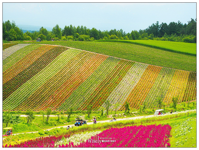 北海道到东京直线距离_北海道到东京怎么走_东京到北海道