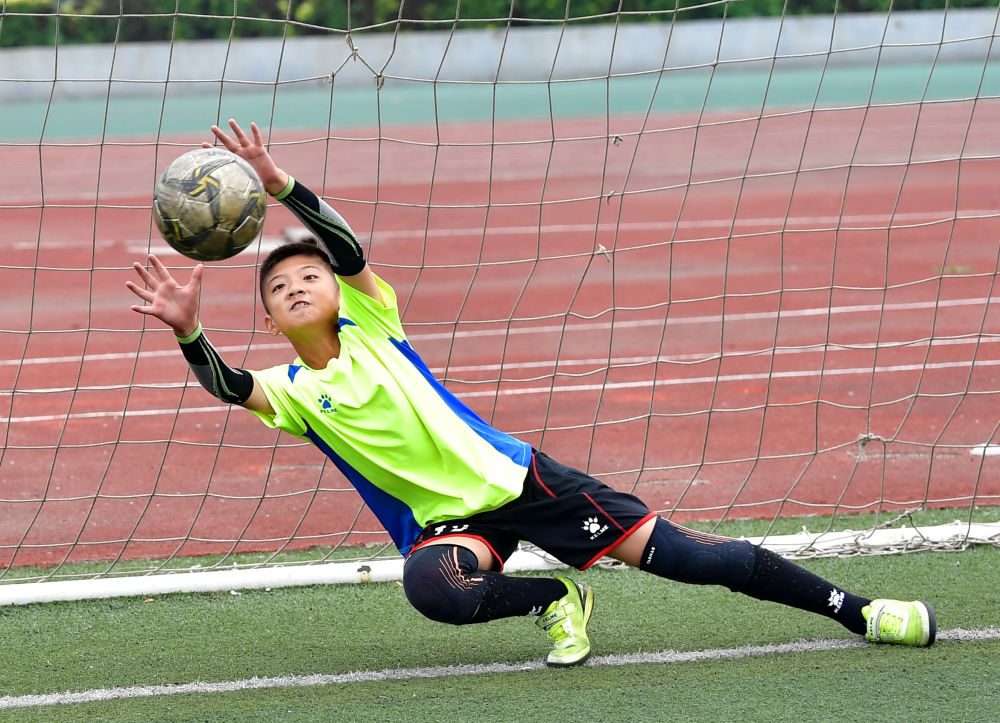 任怡旭_任怡旭_任怡旭