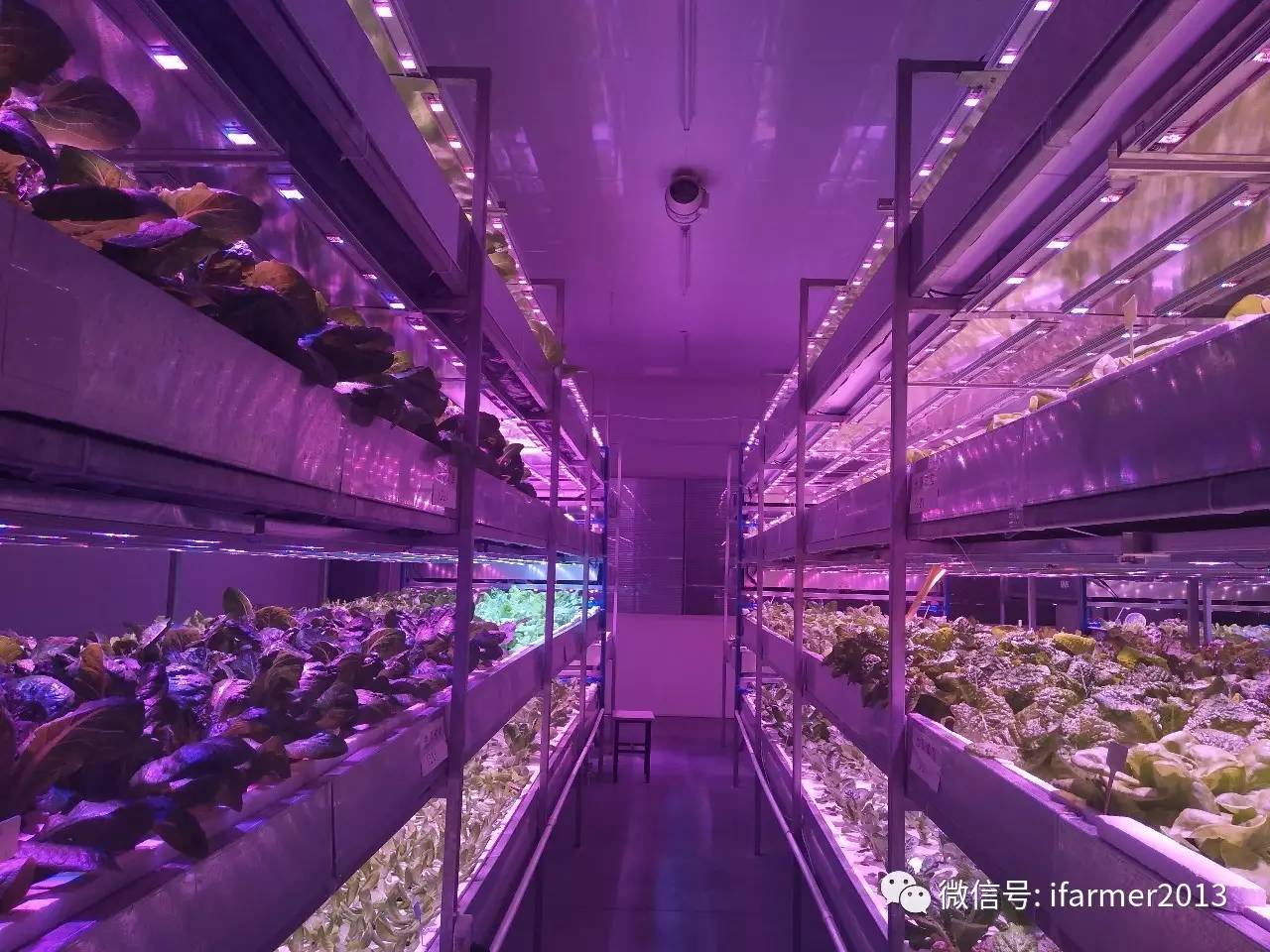 玩打针的游戏_打针游戏手机女生_给女生打一针的游戏