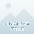 极品飞车平台_极品飞车ol关服公告_极品飞车ol为什么关服