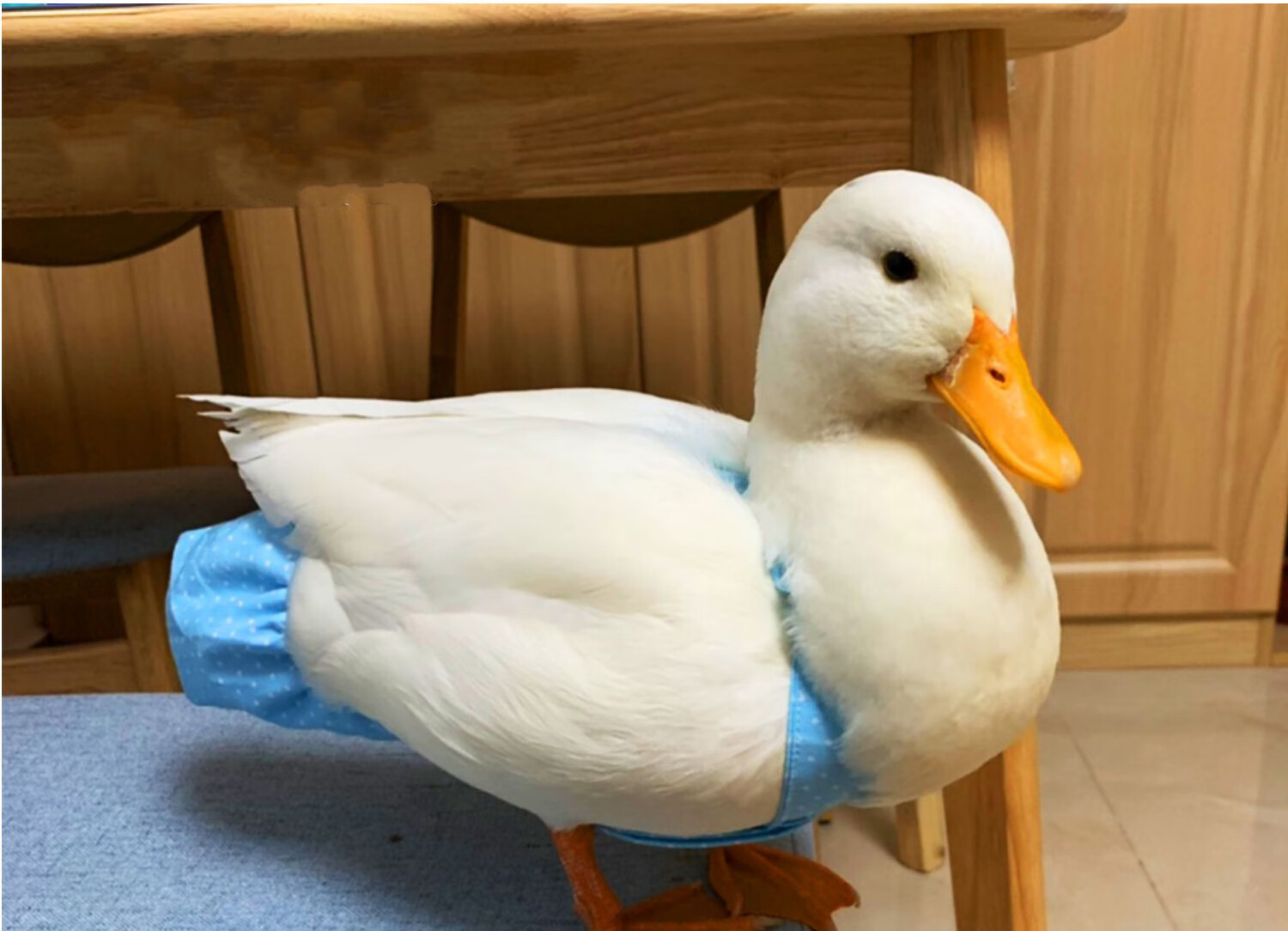 80后上课游戏大全手机版_80后上课游戏大全手机版_80后上课游戏大全手机版