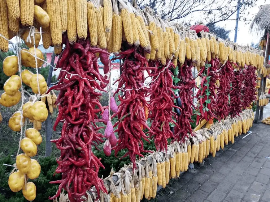 春季煲汤_春季_春季网