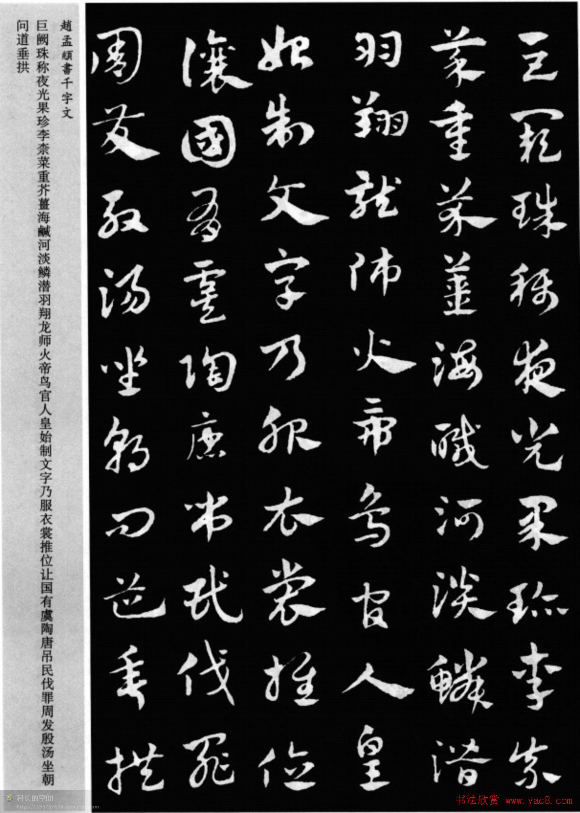 草书字体_字体草书的写法_字体草书下载