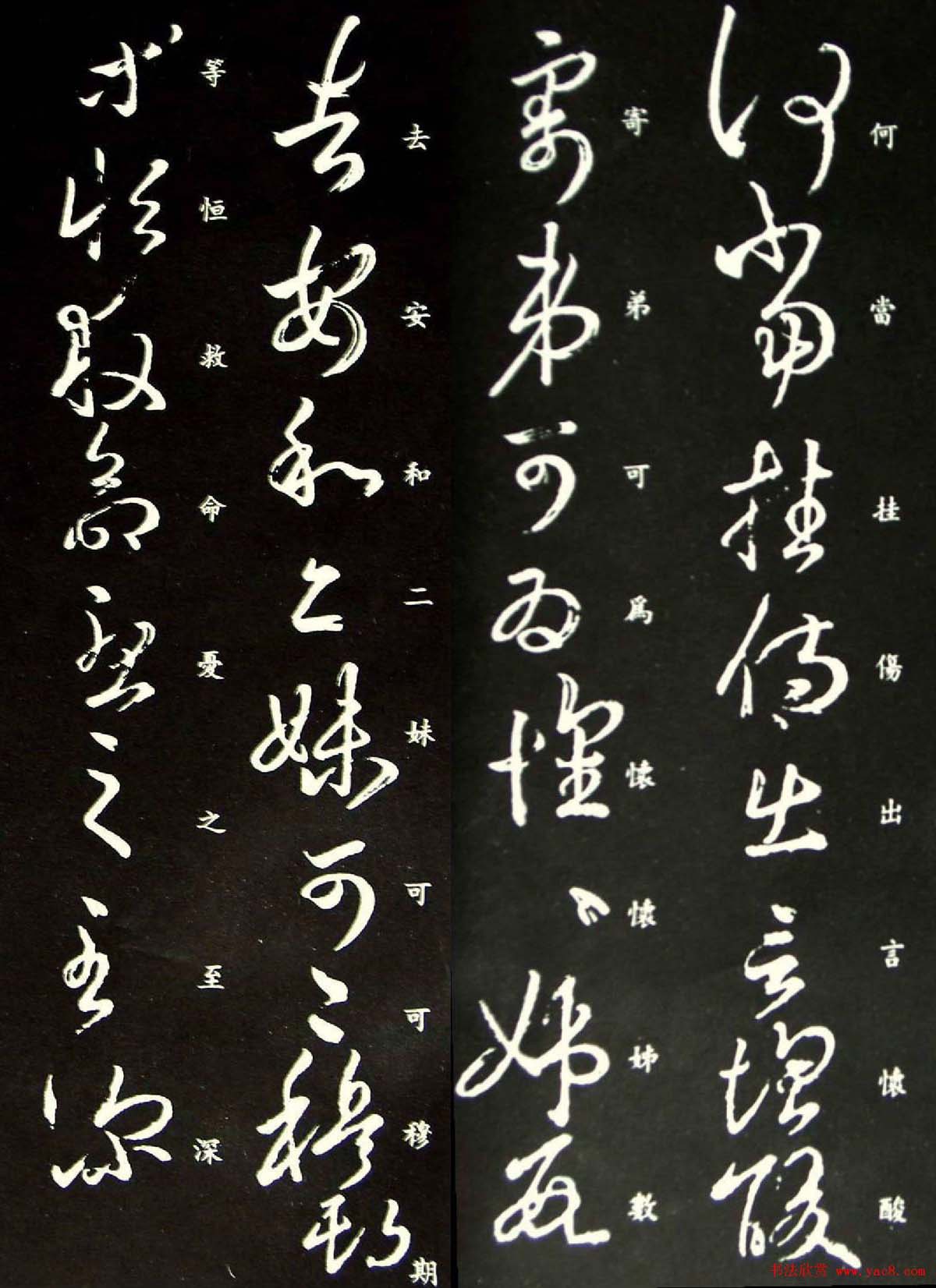 字体草书的写法_草书字体_字体草书下载