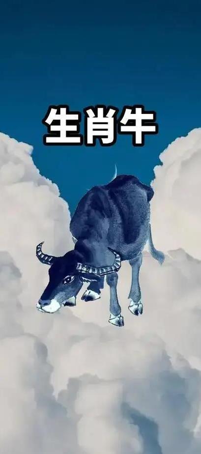 牛若_牛大力图片_牛电科技牛2