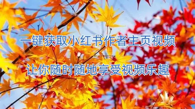 手机游戏手游_手机游戏平台_NDSL游戏手机