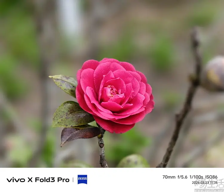 cad怎么把十字光标方框变大_cad怎么把十字光标方框变大_cad怎么把十字光标方框变大