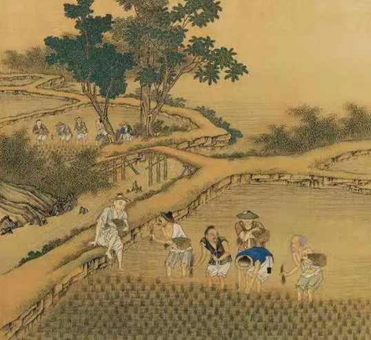 谷雨是几月_谷雨谷什么意思_谷雨是什么月