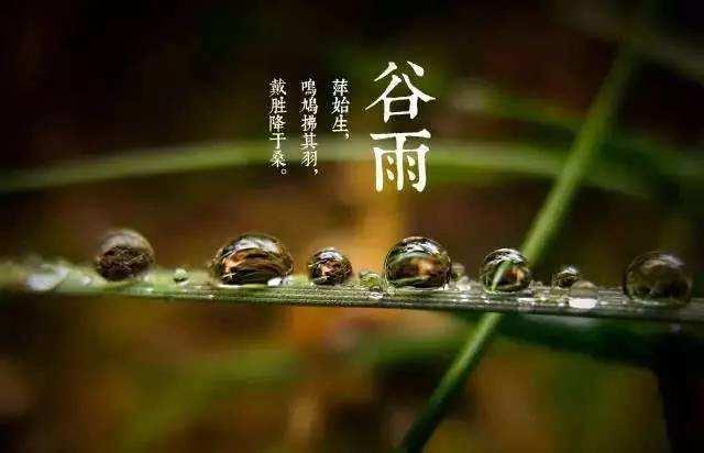 谷雨是几月_谷雨是什么月_谷雨谷什么意思
